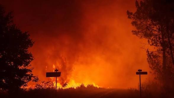 101 пожара за 24 часа: пожарната спря по-сериозни щети, 146 сигнала заляха службите