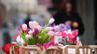 Идва 8 март: Ще има ли и тази година скок на цените на цветята?