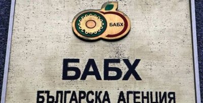 Тонове месо с неясен произход: Разкриха две незаконни кланици край Кърджали