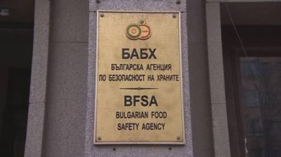 Плесен в училищни закуски и кадри на жестокост към куче: БАБХ призна проблеми и готви актове