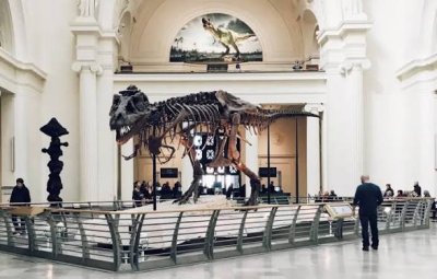 Читалища, библиотеки и музеи влизат в нова роля: държавата ги включва в обучението на възрастни от 2026 г.