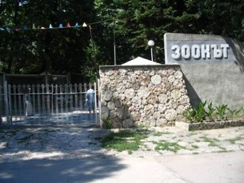 Зоопаркът във Варна отрече твърденията за &bdquo;бълхи по вълците&ldquo;: Няма доказателства, има профилактика