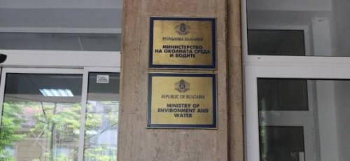 МОСВ: Не може да се установи причината за смъртта на китоподобните край Приморско