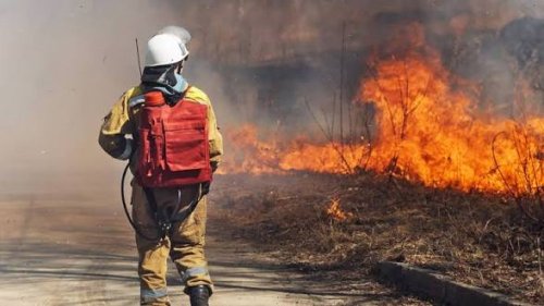 Пожар край Черноморец: две бунгала изгоряха, туристите се спасиха по случайност
