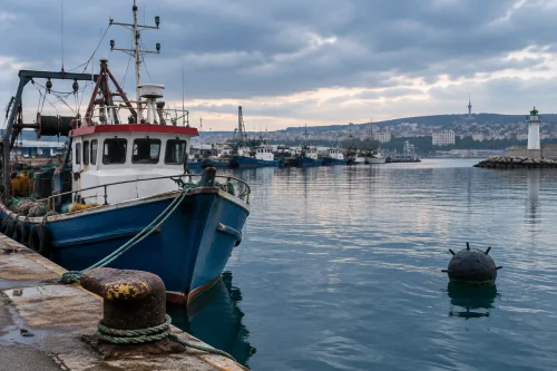 „БГ фиш“ иска де минимис за рибарите заради риска в Черно море