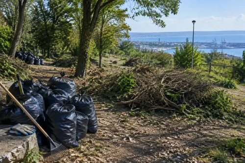 12 варненци чистят горичката до „Електрото“ във Варна