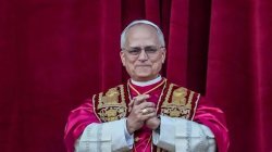 Папа Лъв XIV към лидерите: Държава, която разчита само на силата, не може да е хуманна