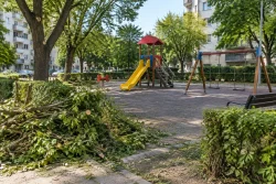 Район „Одесос“ почисти площадки на бул. „Владислав Варненчик“