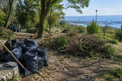 12 варненци чистят горичката до „Електрото“ във Варна