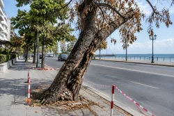 Район „Одесос“ реже аварийно кестен на бул. „Приморски“